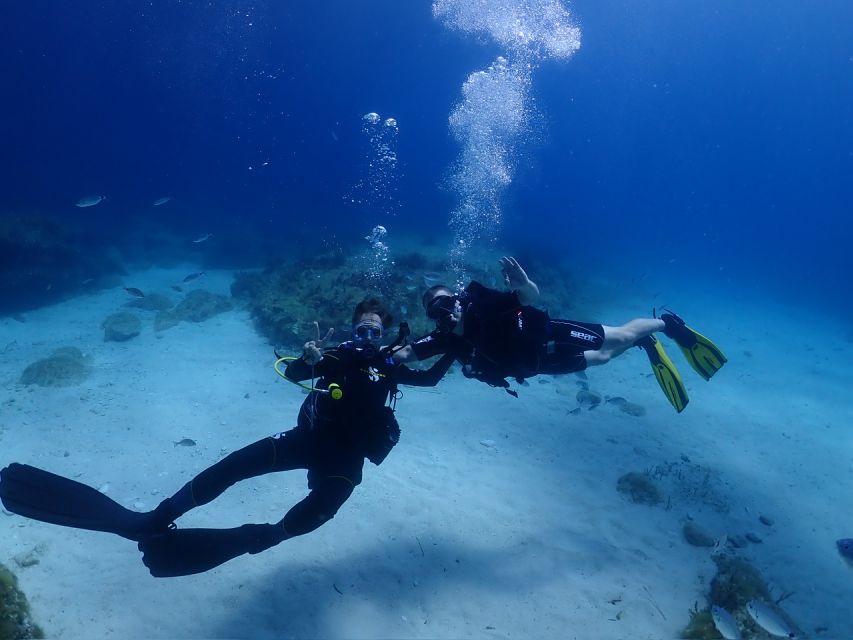 Cebu: Boat Diving Two Dive Tour in Olango Island - Location and Accessibility Details