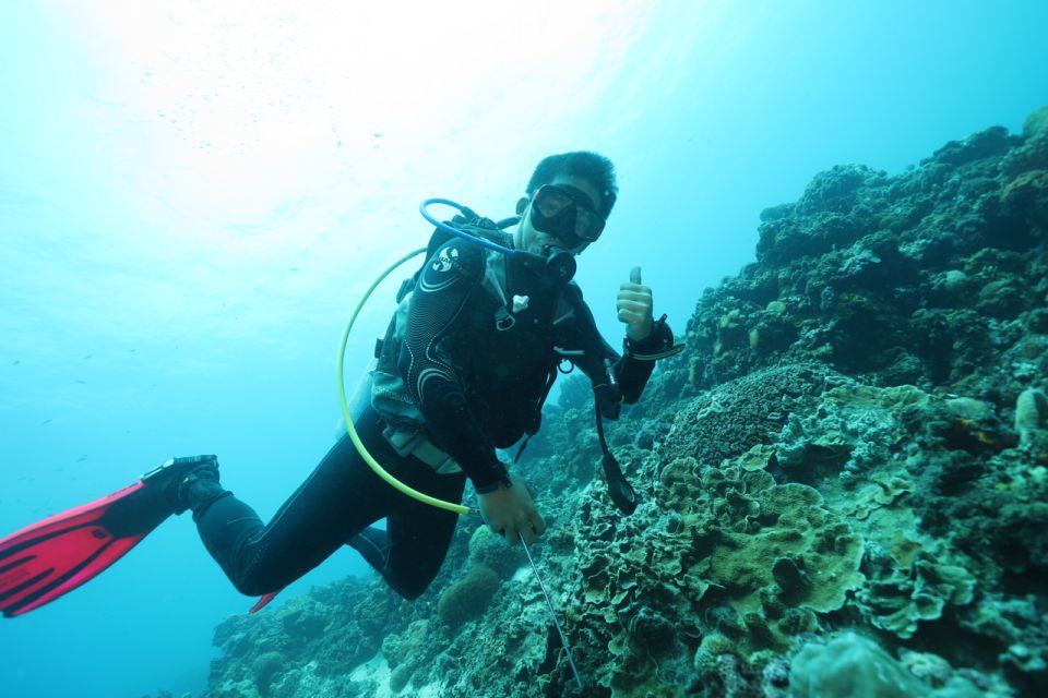 Cebu: Mactan Island Beach Diving ( for Who Has License ) - Reservation and Payment Process