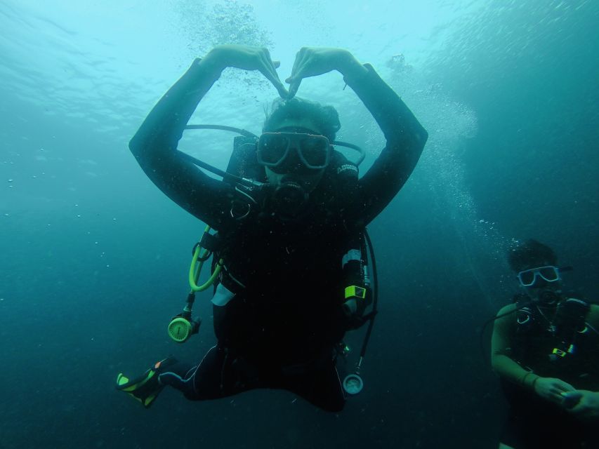 Cebu: Scuba Diving With Sardines and Pescador Island Snorkel - Common questions