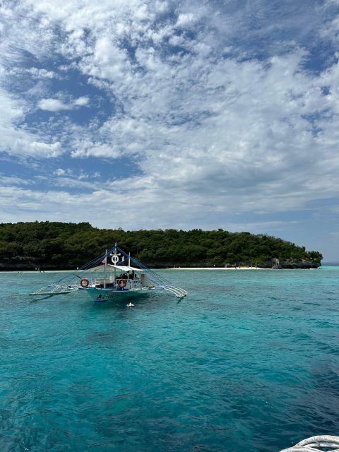 Cebu: Whale Shark & Mysterious Waterfall Private Tour - Reservation Information