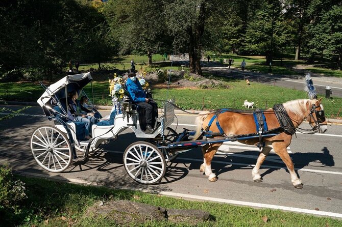 Central Park and NYC Horse Carriage Ride OFFICIAL ( ELITE Private) Since 1970 - Tour Highlights and Additional Information