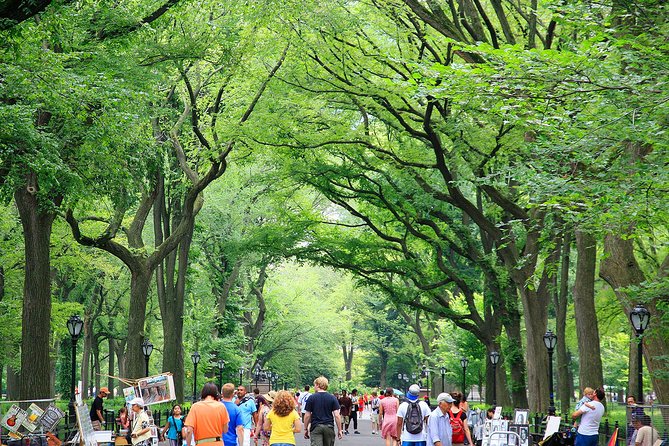 Central Park Photography Tour With Local Photographer - Exceptional Traveler Reviews