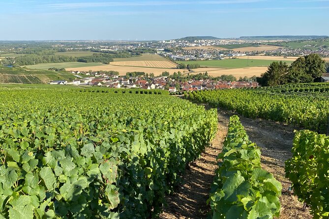 Champagne Cellars & Vineyards Tour From Reims Full Day - Booking Details