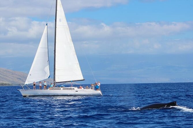 Champagne Sunset Sail From Lahaina Harbor - Logistics and Departure