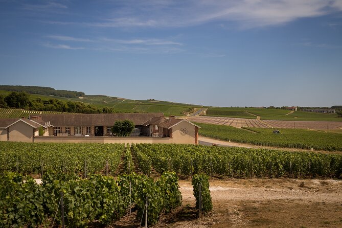 Champagne Tasting Tours Day Trip From Paris - Pricing and Group Options