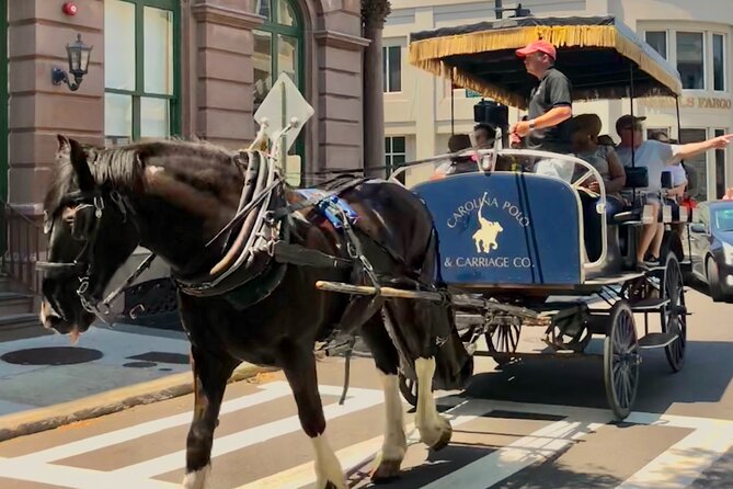 Charleston Horse & Carriage Historic Sightseeing Tour - Background