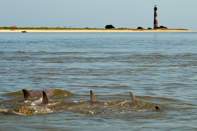 Charleston Marsh Eco Boat Cruise With Stop at Morris Island Lighthouse - Customer Reviews