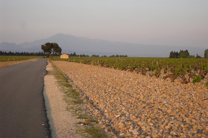 Chateauneuf-Du-Pape Prestige Wine Tour From Avignon - Wine Tasting Experiences