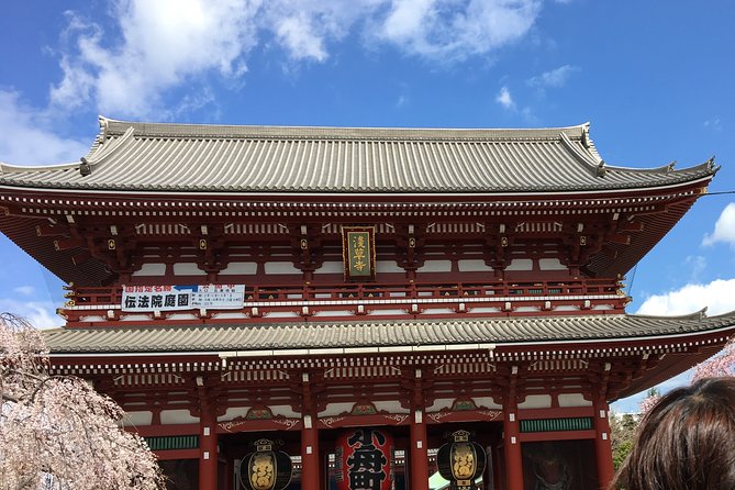 Cherry Blossom Tour in Tokyo - Cherry Blossom Tour Cultural Experiences