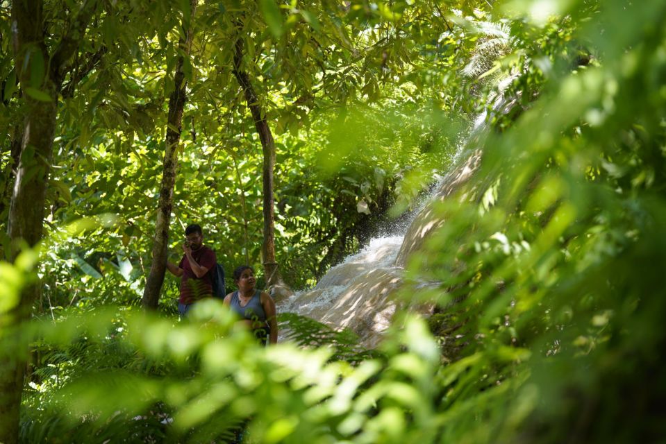 Chiang Mai: Bua Thong Sticky Waterfall and Huge Cave Tour - Bua Thong Sticky Waterfalls Tour