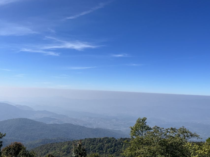 Chiang Mai: Doi Inthanon and Elephant Sanctuary Tour - Visitor Reviews