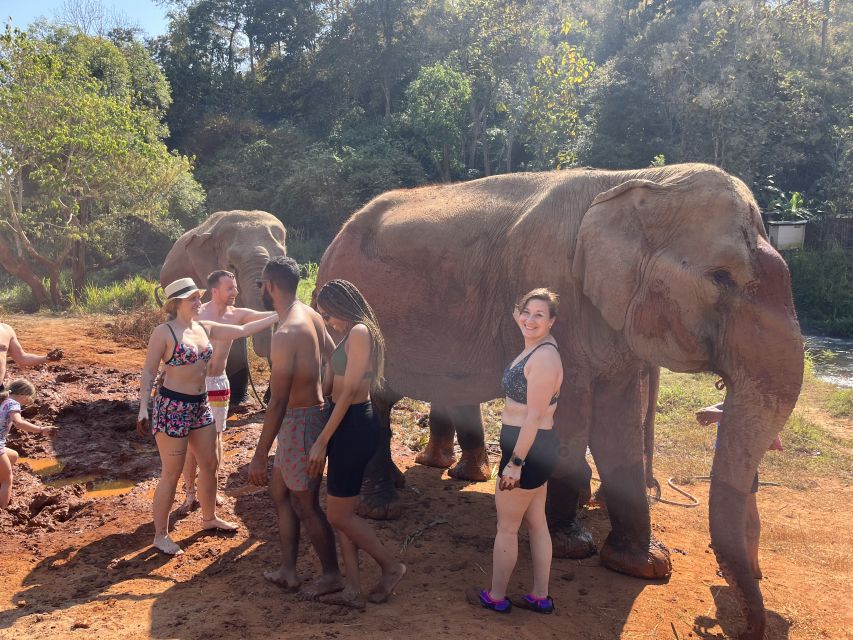 Chiang Mai: Doi Suthep Temple & Elephant Sanctuary Day Trip - Tour Highlights