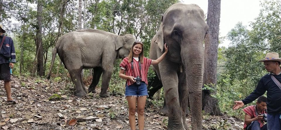 Chiang Mai: Elephant Sanctuary & Waterfall Group Tour - What to Bring