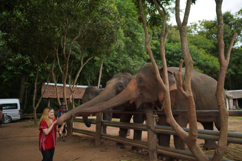 Chiang Mai: National Elephant Care & Rafting/Ziplines Trip - Common questions