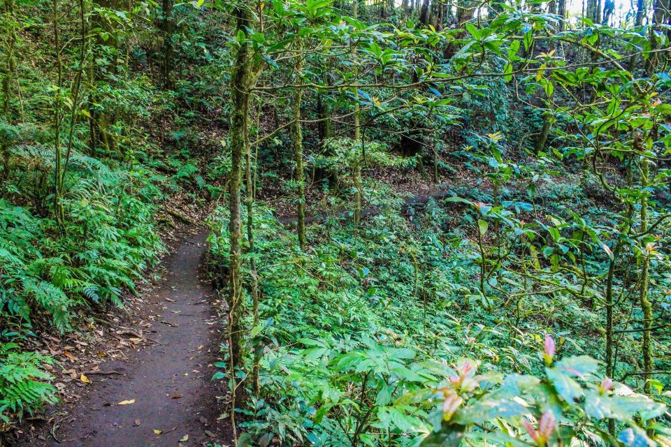 Chiang Mai: Pha Dok Siew Nature Trail & Doi Inthanon Trip - Pickup Information