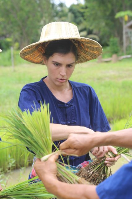 Chiang Mai: Thai Buffalo and Rice Planting Experience - Additional Information