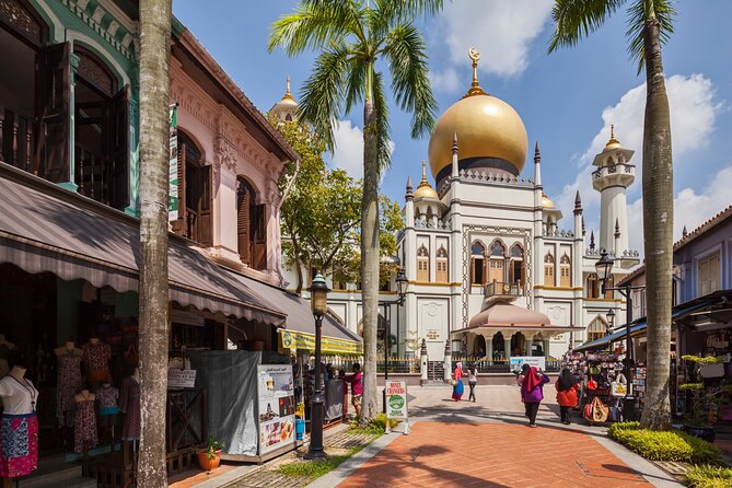 Chinatown, Little India and Buddha Tooth Relic Private City Tour - Contact and Support