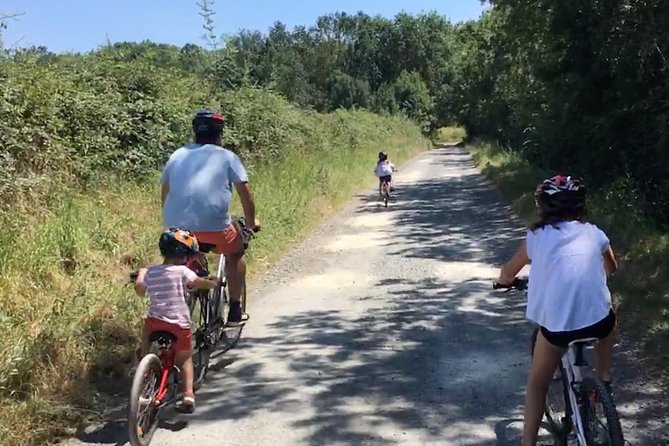 Chinon Wine Tour by Bike With Picnic Lunch (Mar ) - Health and Safety