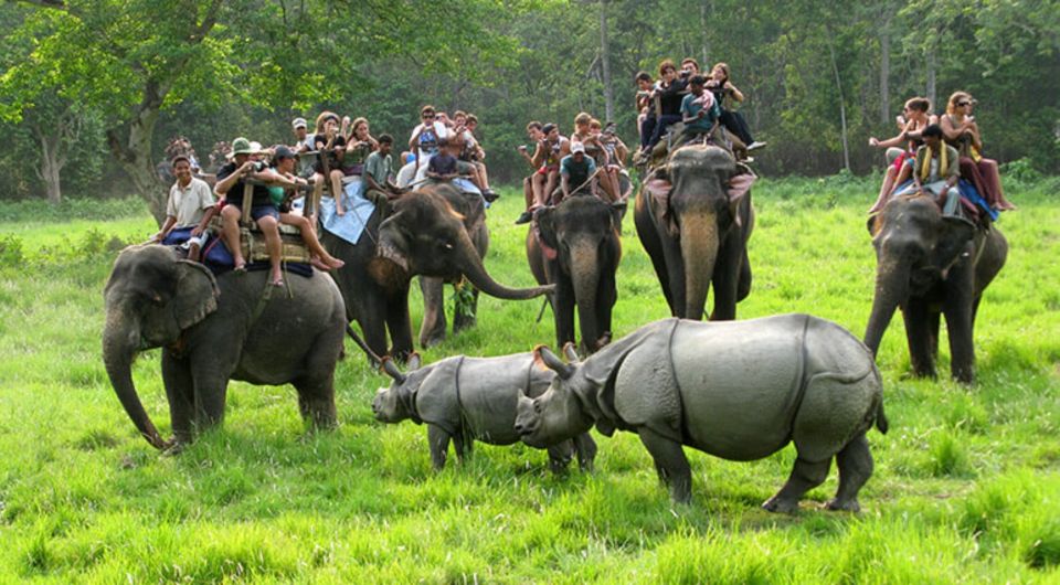 Chitwan Jungle Safari With National Park Tower Night Stay - Opinions and Insights