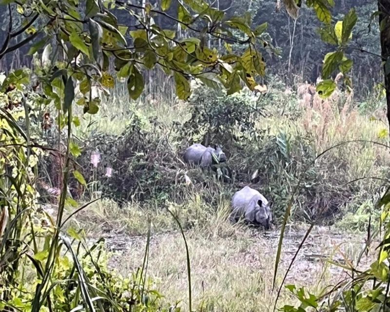 CHITWAN NATIONAL PARK FULL DAY PRIVATE JEEP SAFARI FROM MADI - Tips for Safari Participants