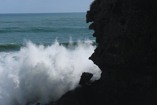 City to Piha - Auckland Day Expedition - Waterfall and Rainforest Experience