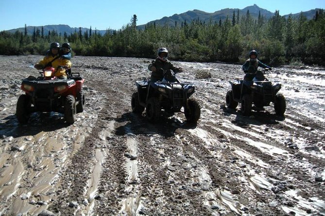 Classic ATV Adventure With Back Country Dining - Scenic Views and Wildlife Spotting