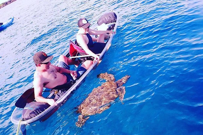 Clear Kayak and Snorkel Tour at Turtle Town, Makena - Highlights and Recommendations