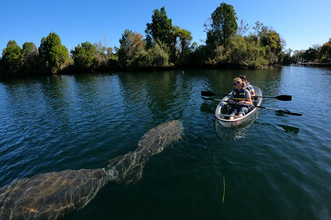 Clear Kayak Manatee Ecotour of Crystal River - Directions