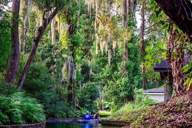 Clear Kayak Sunset Tour Through the Winter Park Chain of Lakes - Customer Reviews