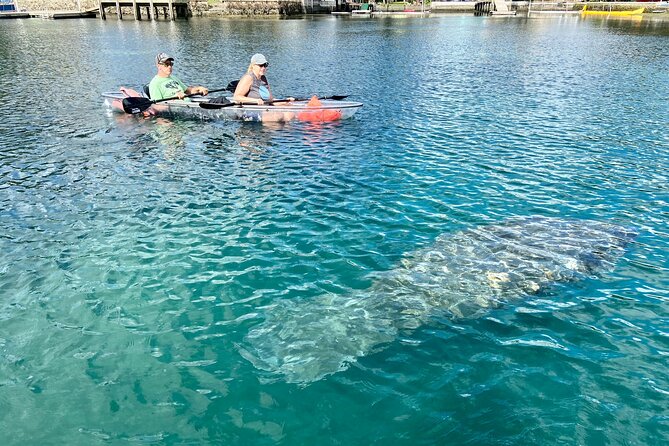 Clear Kayak Tour of Crystal River - Booking Details