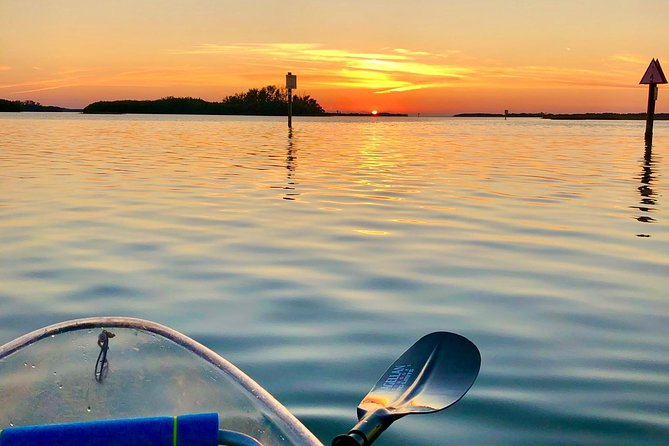 Clear Kayak Tour of Shell Key Preserve and Tampa Bay Area - Customer Reviews