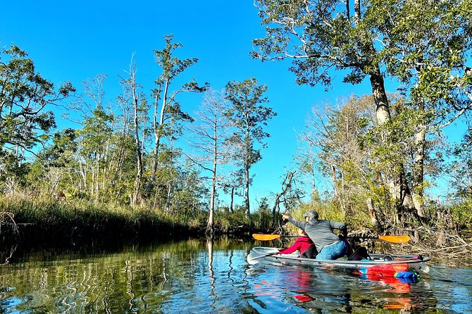 Clear Kayak Tours in Weeki Wachee - Tour Details and Operations