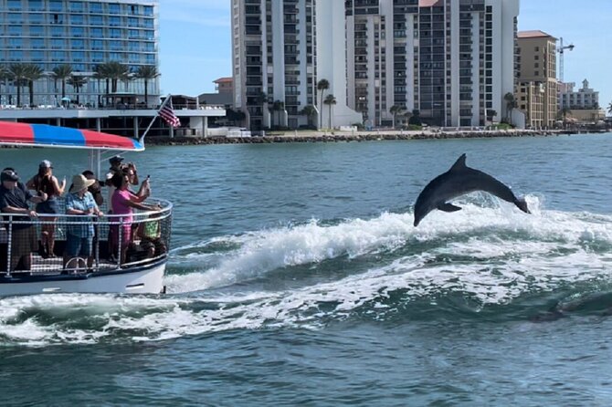 Clearwater Encounters With Dolphins Tour - Cancellation Policy and Refund Information