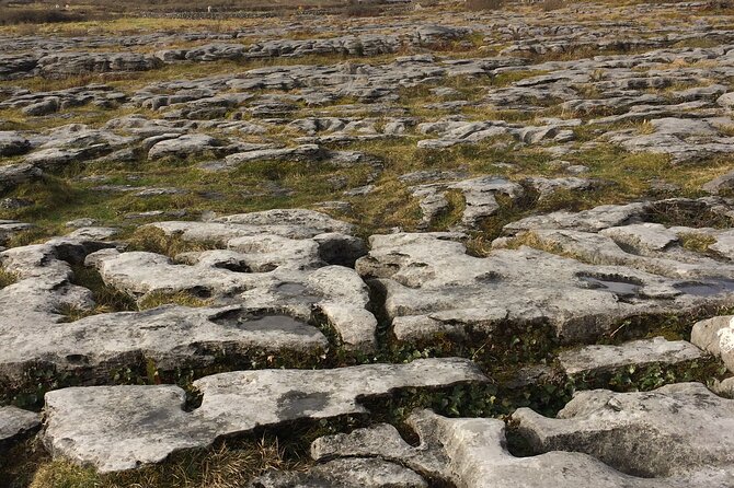 Cliffs of Moher and the Burren Private Tour - Booking Details