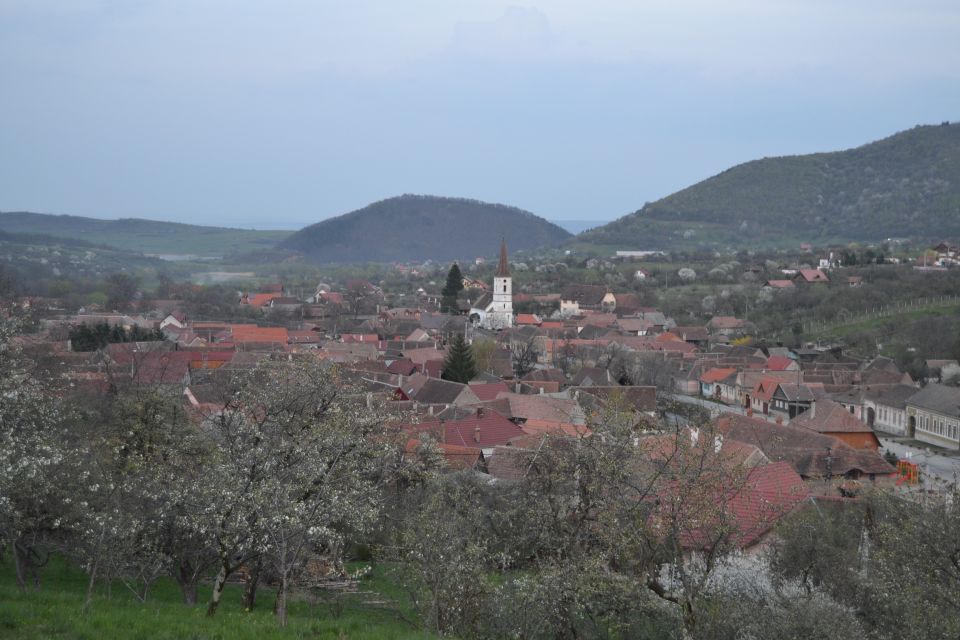 Cluj-Napoca: Day Trip in Saxon Wonderland - Authentic Village Excursion
