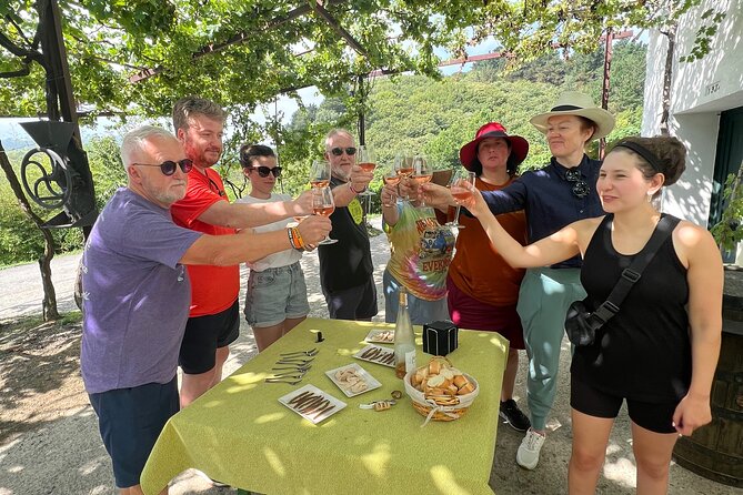 Coastal "Winery Camino Trail" Walking Tour From San Sebastian - Cancellation Policy