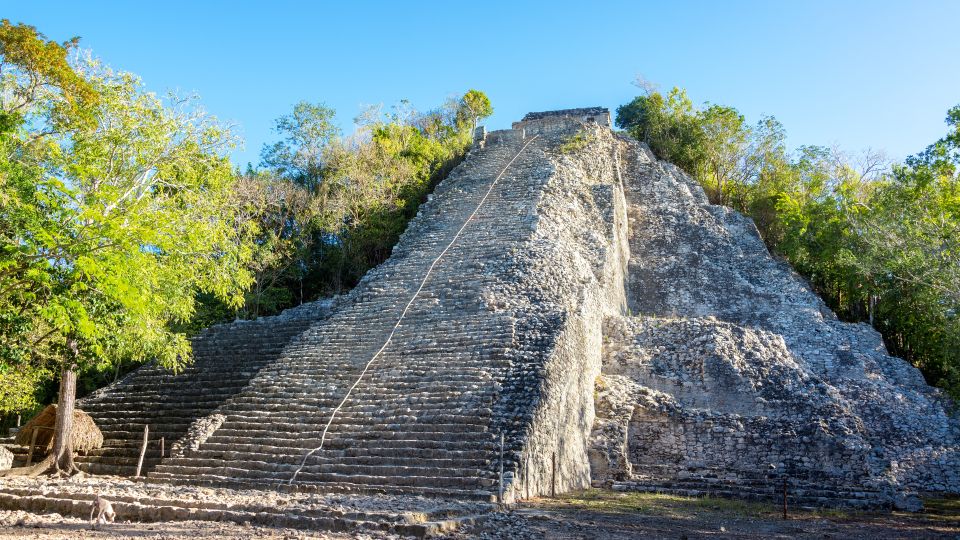 Coba, Tulum, Cenote & Lunch ECO Full Day From Rivera - Customer Reviews Summary