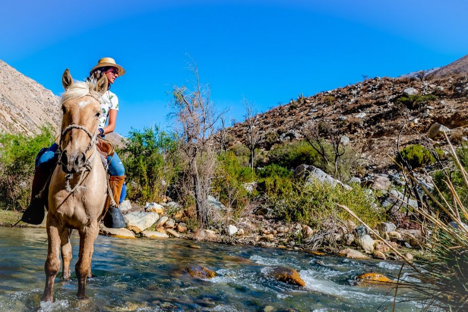 Cochiguaz: Horseback Riding, River and Mountain Range - Logistics