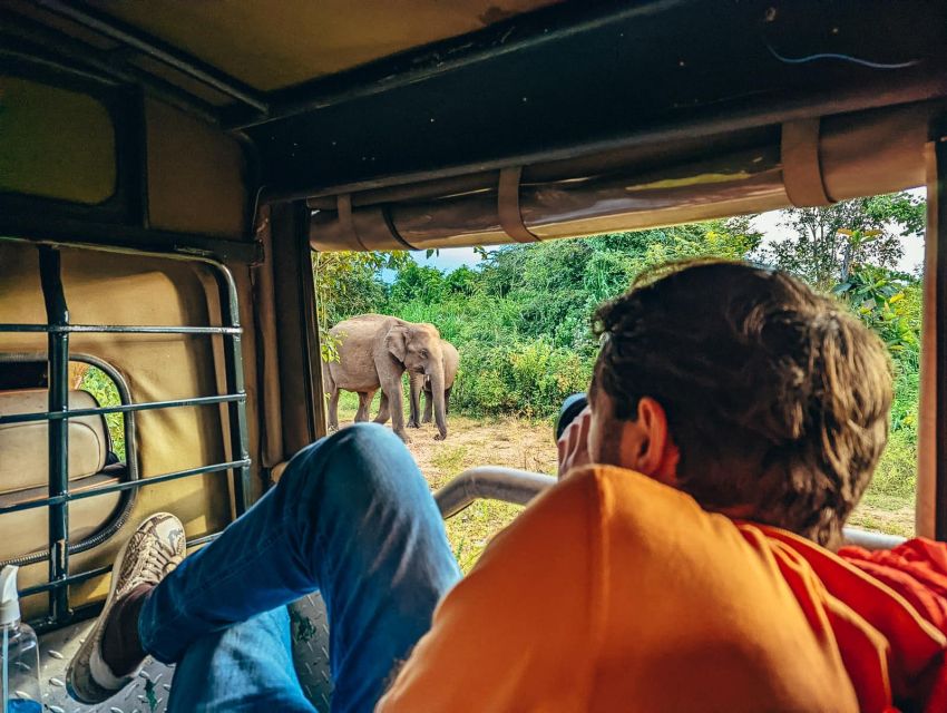 Colombo: All Inclusive Sigiriya & National Park Day Safari - Transportation Details