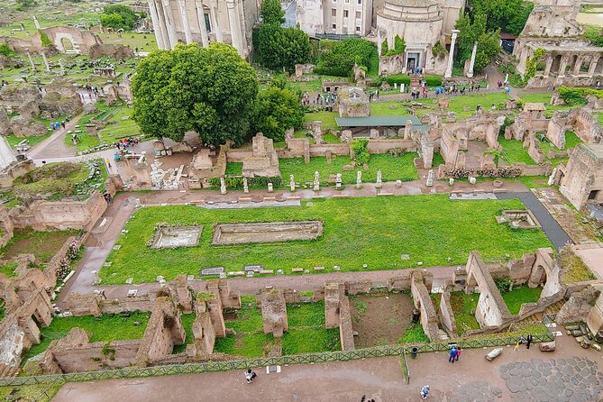 Colosseum & Ancient Rome Guided Walking Tour - Meeting Point Details and Inclusions