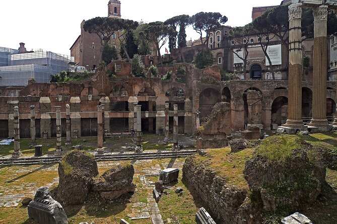 Colosseum, Roman Forum and Palatine Hill Tour Professional Guided Tour - Host Responses and Tour Experiences