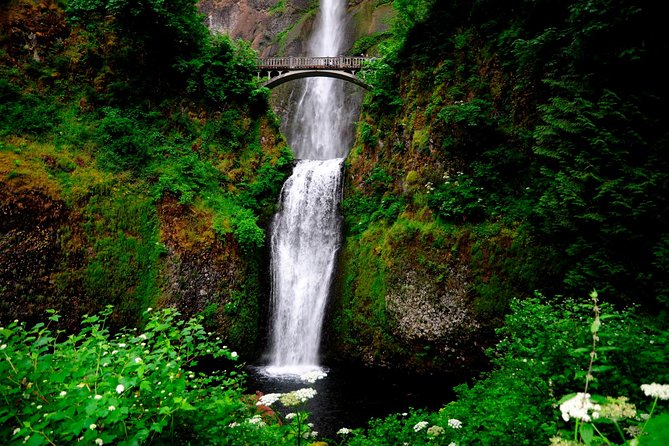 Columbia River Gorge Waterfalls & Mt Hood Tour From Portland, or - Customer Feedback & Recommendations
