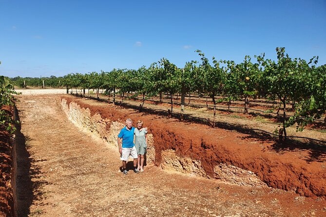 Coonawarra Half Day Wine Tour With Lunch - Safety Measures