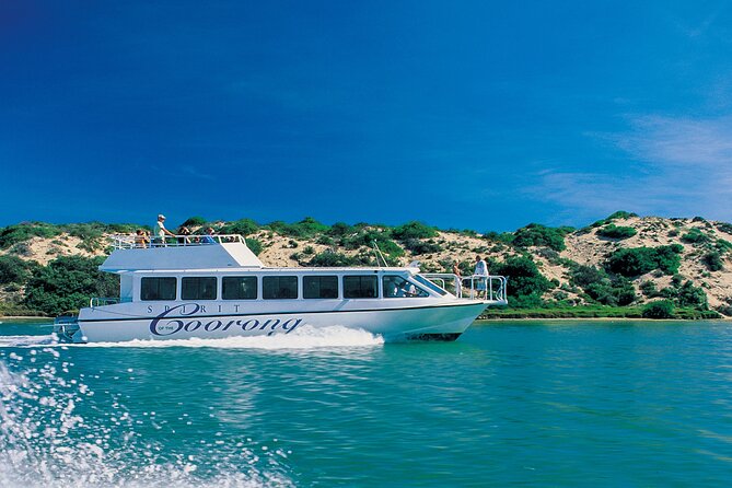 Coorong 6-Hour Adventure Cruise - Background