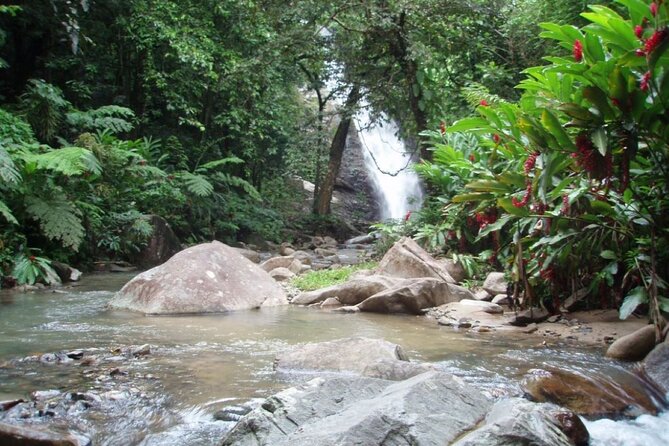 Coral Coast Adventure: Biausevu Waterfall & Natadola Beach ! - Additional Information and Context