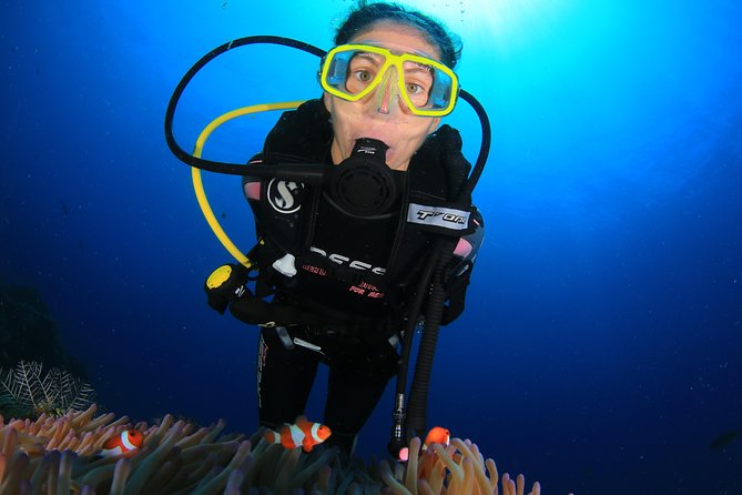 Coral Garden and Liberty Shipwreck Intro to Scuba Diving (Mar ) - Reviews and Customer Support