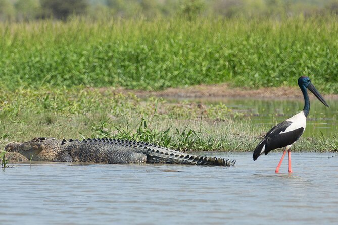 Corroboree Billabong 2.5 Hour Lunch Cruise - Reviews and Ratings