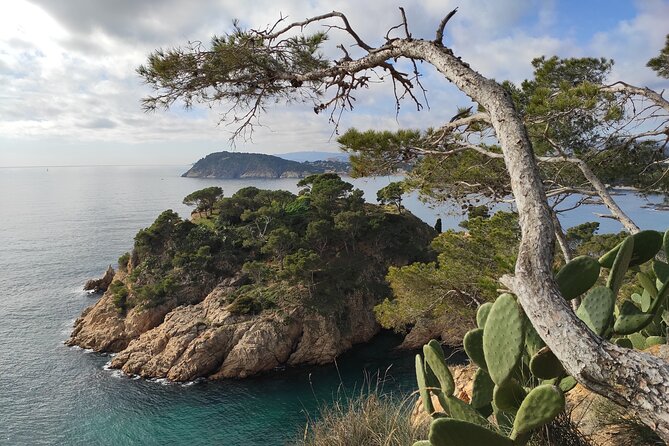 Costa Brava Coast Hike and Snorkel From Barcelona With Lunch - Customer Support