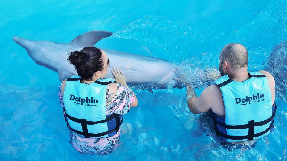 Cozumel: Dolphin Royal Swim - Booking Information