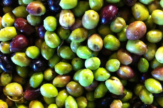 Crete Culinary Journey: Olives, Raki, Archanes Feast Delights - LocalTrips4U Tour Details